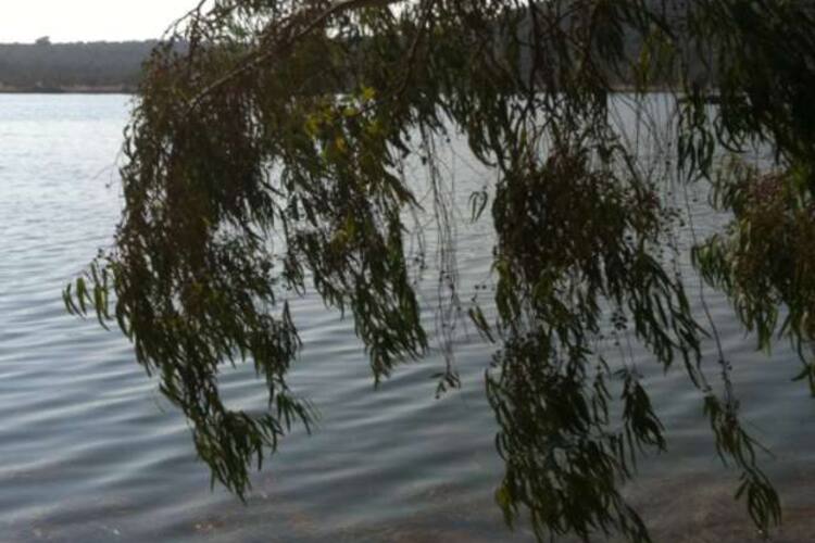 Sunar In Yeri Balik Restaurant Dikili Izmir Zomato